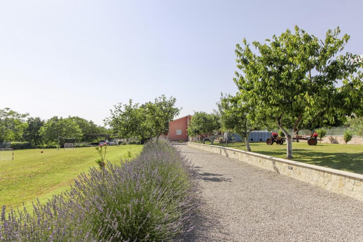 Linda In Lovrinici Villa Pazin Dış mekan fotoğraf